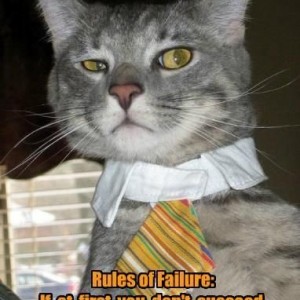 rules