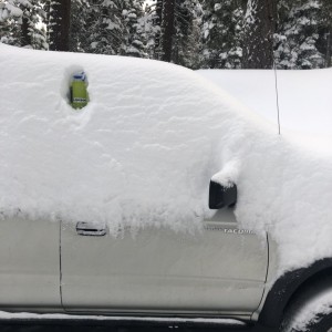 Truckee 2020