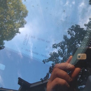 IMAG02953