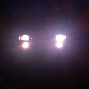 These fogs are pretty bright for $10.
