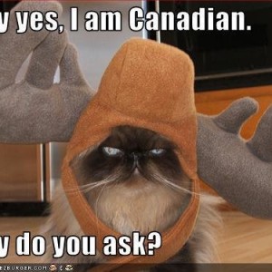 cat-is-canadian