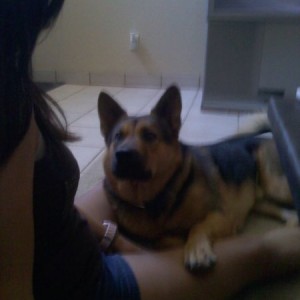 Someone wants attention.