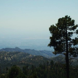 9/3/11 Prerun Backside Mt. Lemmon