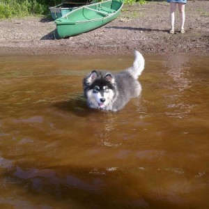 Lake_2