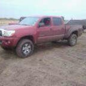 my taco