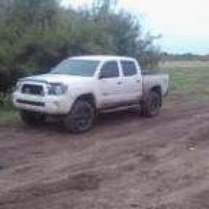 my buddies taco
