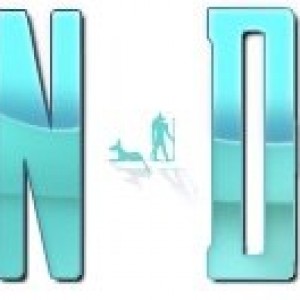 Title banner (white cropped)