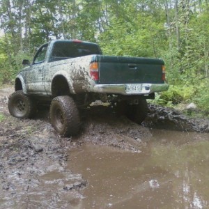 muddin