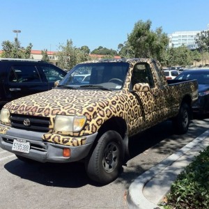 Does anyone drive this here??? Saw it at the Mission Viejo mall today...