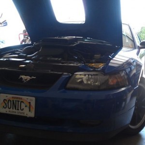Working on the Ford again, dam California smog is a pita. ?New plugs, fuel 