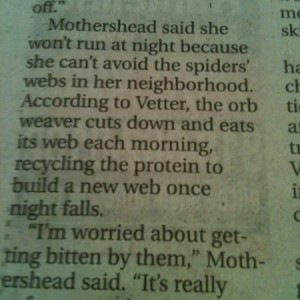 That's an interesting spider fact