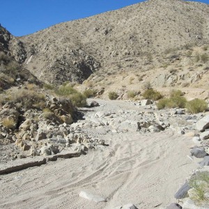 Red Rock Canyon
