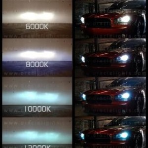 oraclelights1