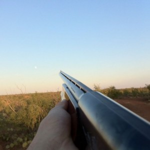 My POV for the evening