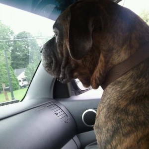 Shotgun!!!!