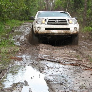 Trail Riding in Ocala w/ Ryan
