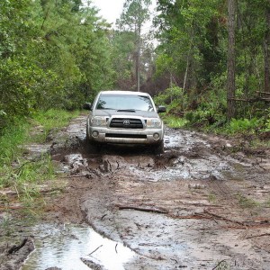 Trail Riding in Ocala w/ Ryan