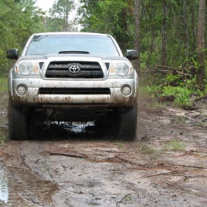 Trail Riding in Ocala w/ Ryan