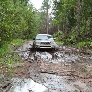 Trail Riding in Ocala w/ Ryan