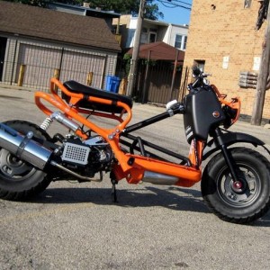 Honda Ruckus