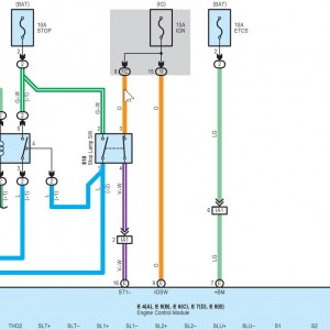 Brake Stop Switch