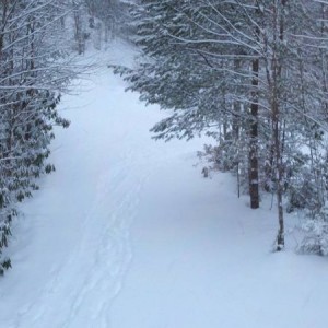 2011-01-07_17-06-32_650