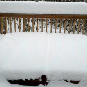 2011-01-08_12-13-39_829