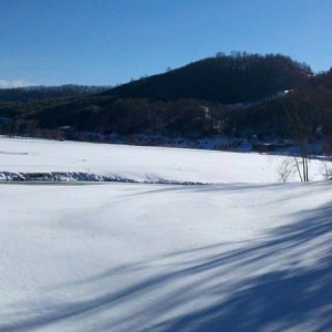 2011-01-09_10-04-37_765