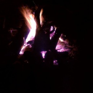 live4btYJs