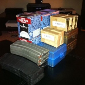 Taking a quick ammo inventory... Approx 3000rds .22 Approx 600rds 5.56/.223