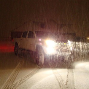 white tacoma