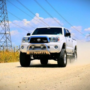 white tacoma