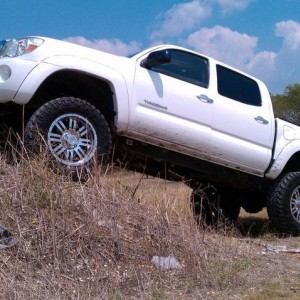 white tacoma
