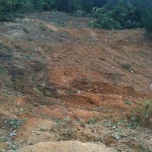 After 10+ years the bmx trails/dirt jumps I mainly ride got plowed yesterda