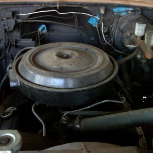 V8