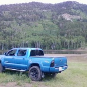 tacoma348