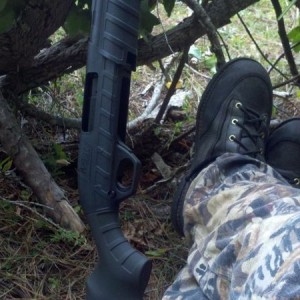 Where's the geese?