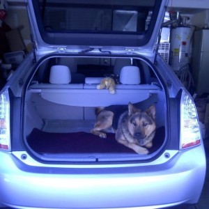 bam bam chillin in a prius.