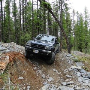 Wild Bill ORV