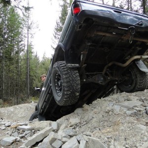 Wild Bill ORV