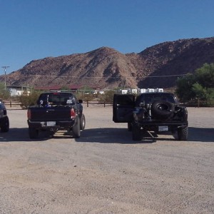 Ocotillo 9/17