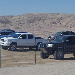 Ocotillo 9/17