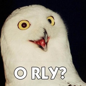 orly_owl1