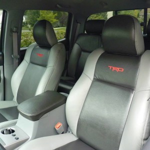 Leather Interior