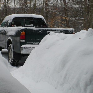 Tundra