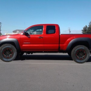 Redtacojester