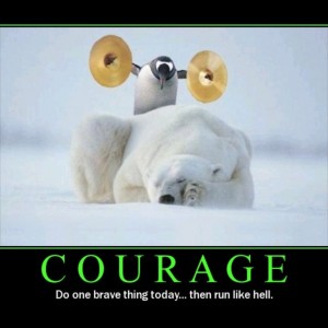 Penguins-courage-sleeping-cymbals-motivational-posters-polar-bears-hd-wallpapers