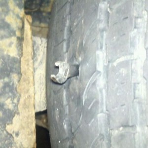 a forward from a friend. hope its big enough. never seen this before :eek: