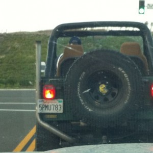No snorkel but a tall exhaust.