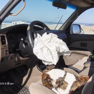 pismo_jamboree_028